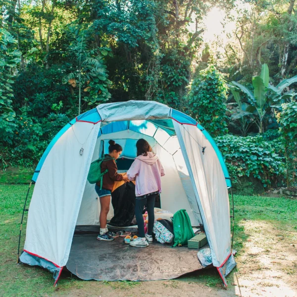 Aprendizado na natureza.jpg