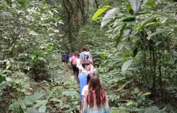 Cópia de WhatsApp Image 2025-05-13 at 16.12.15 (2)